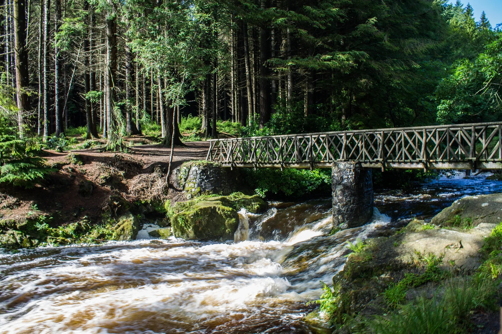 tollymore forest park 1