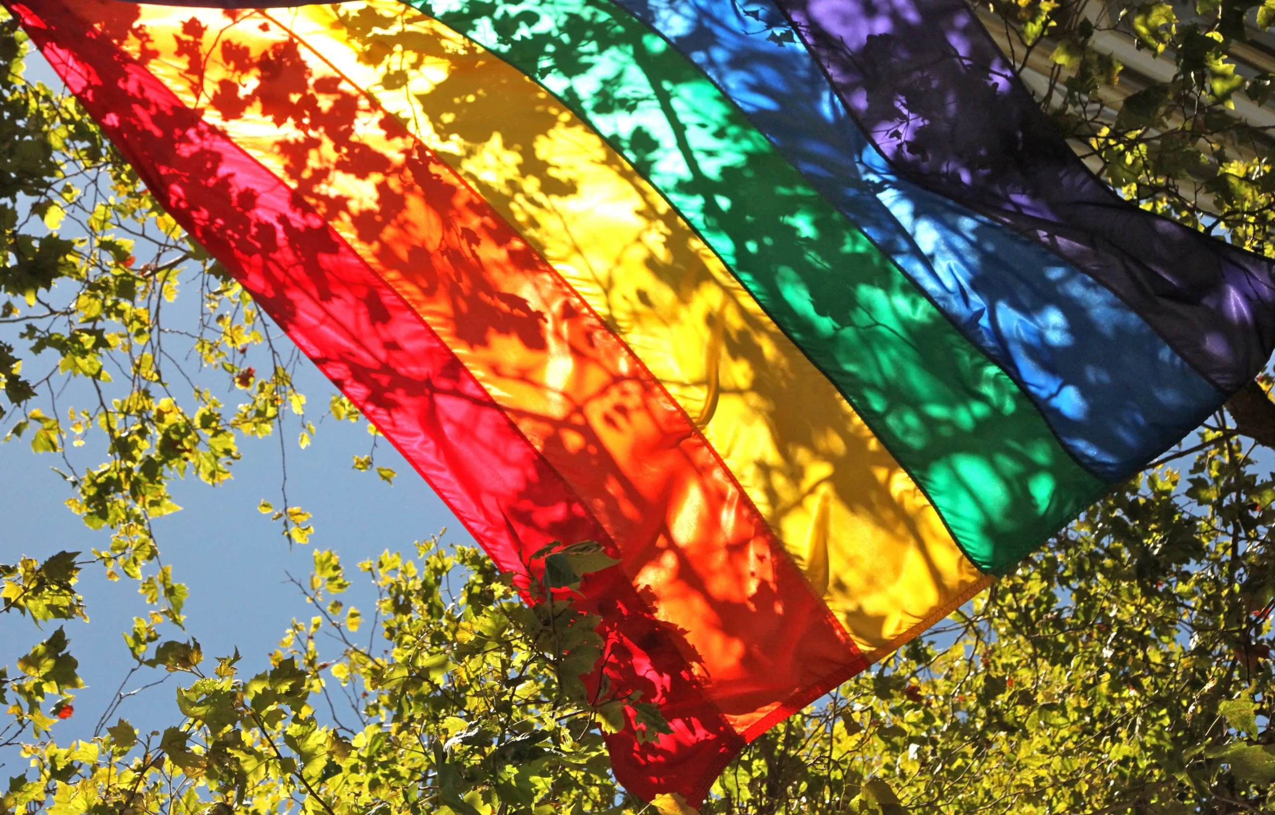 gay pride scaled