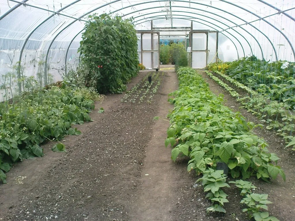 organic centre
