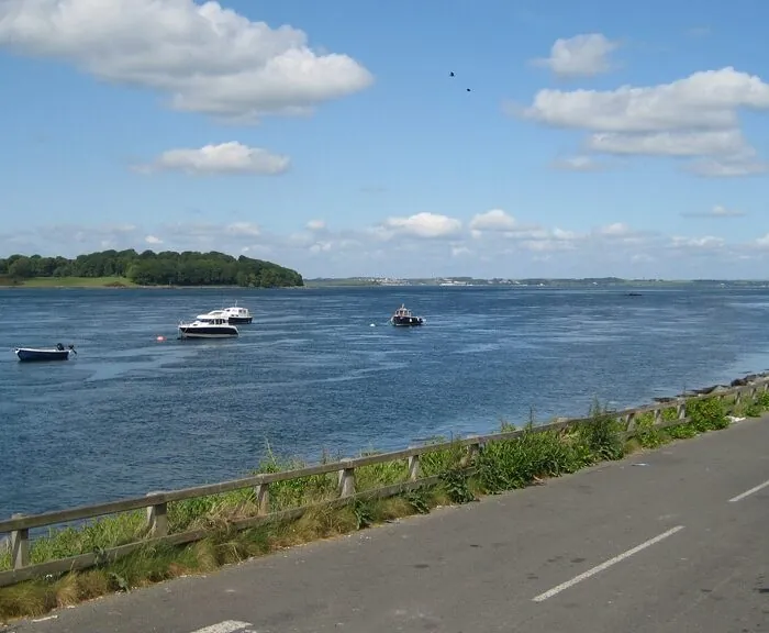 strangford lough