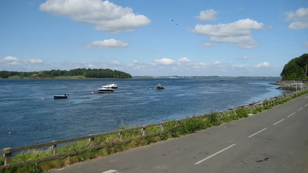 strangford lough