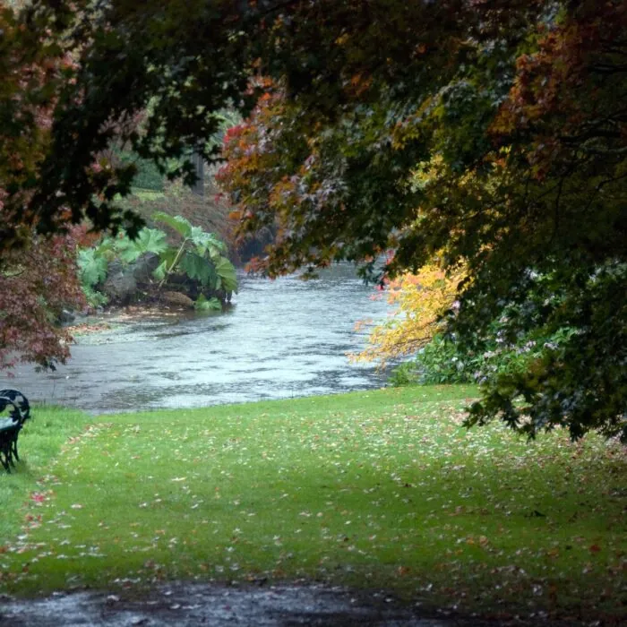 mount usher gardens