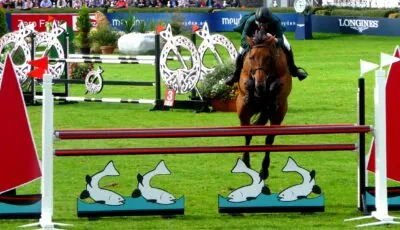 The Dublin Horse Show
