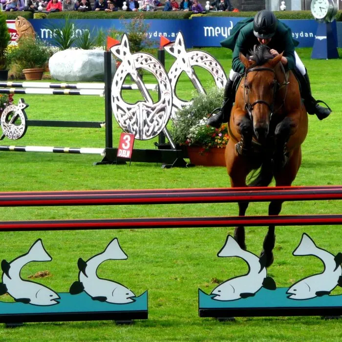 Le Dublin Horse Show - Alison Killilea - cc