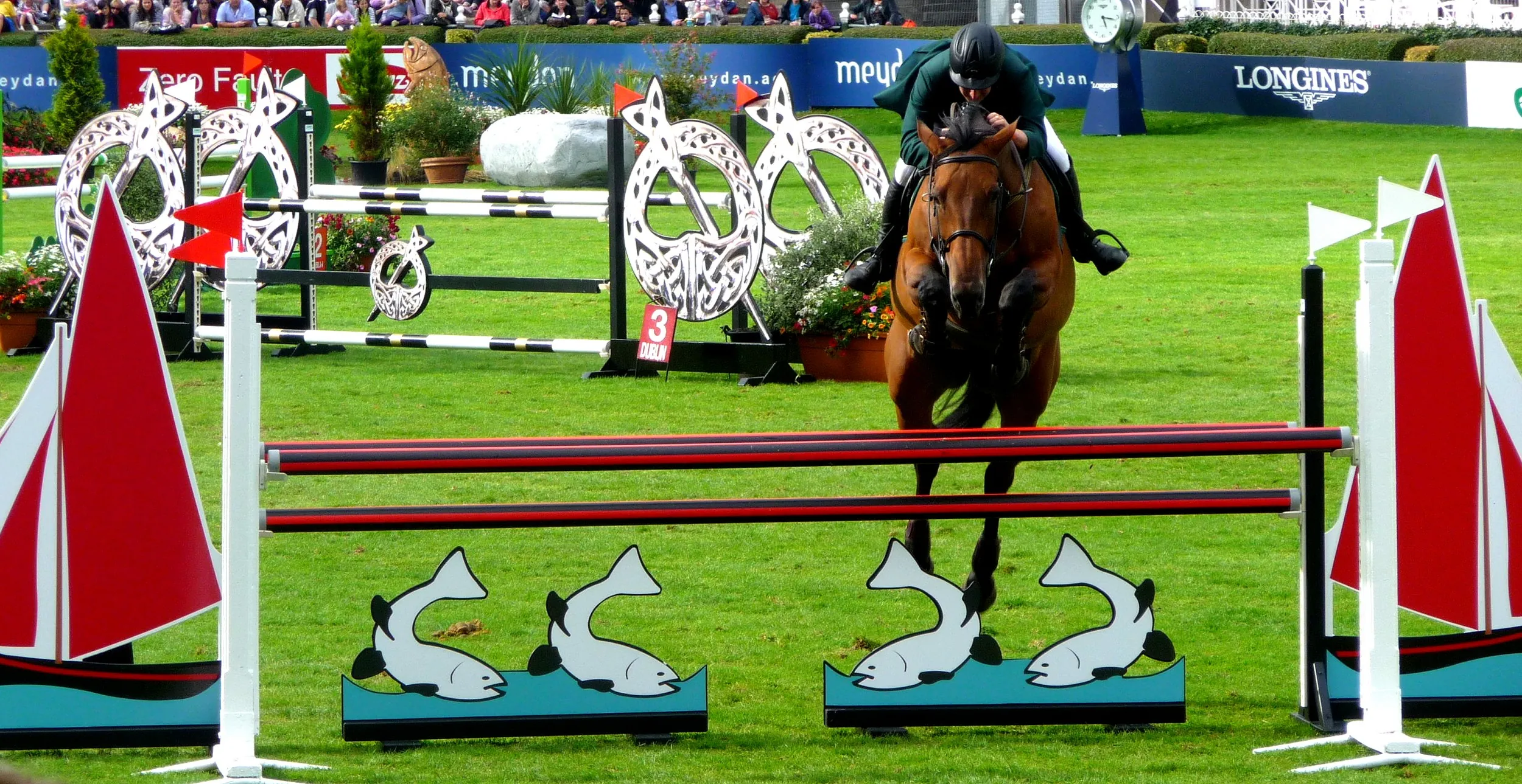 The Dublin Horse Show