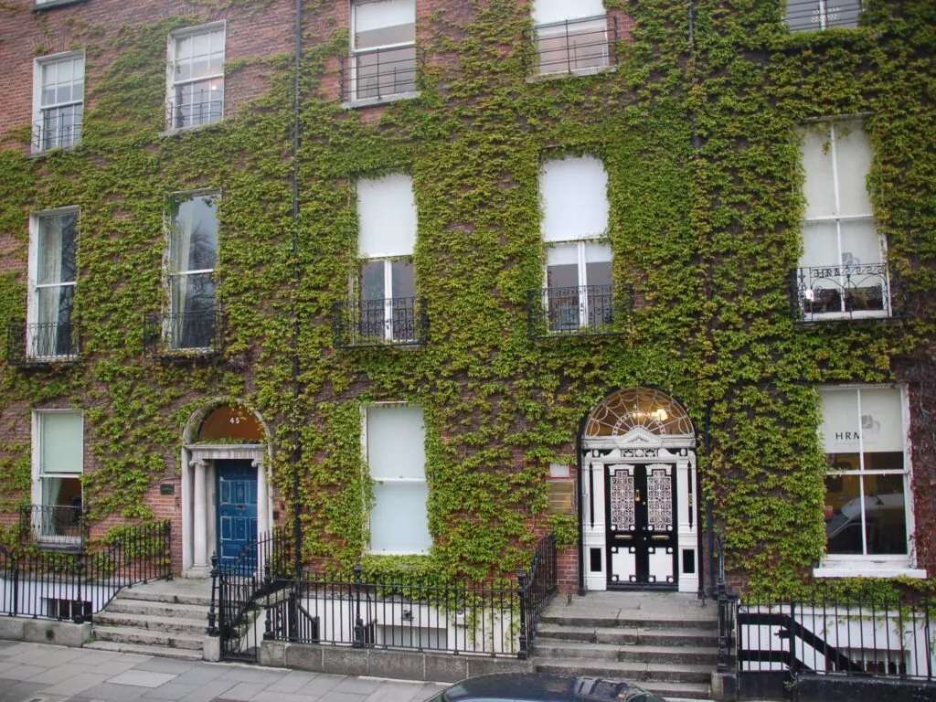 fitzwilliam square scaled