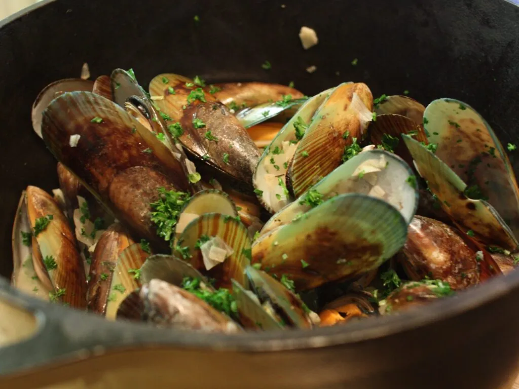 moules scaled