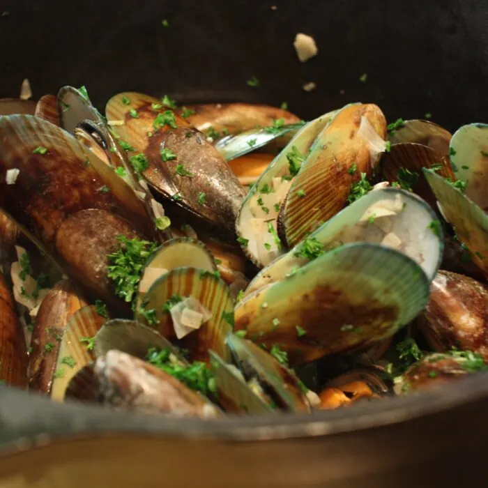 moules scaled