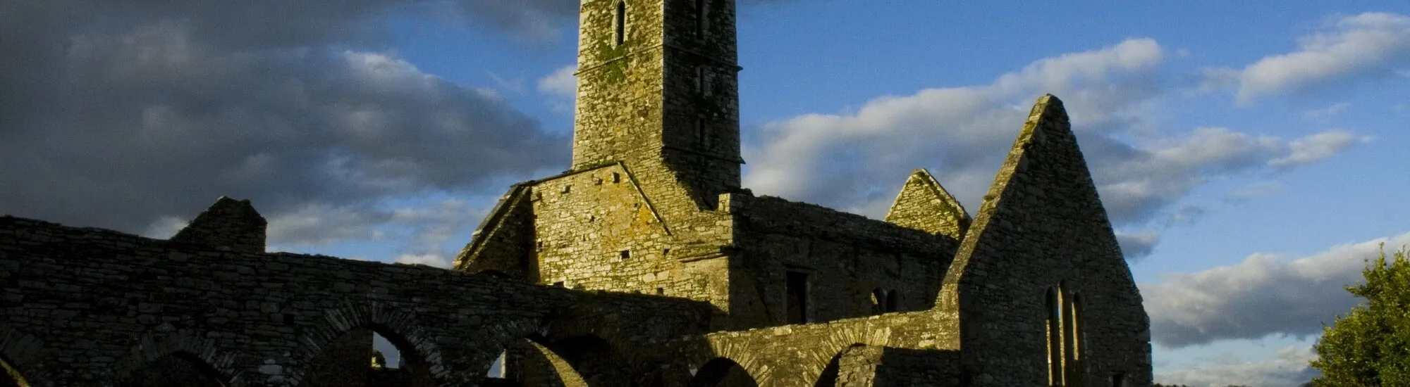 Timoleague Abbey