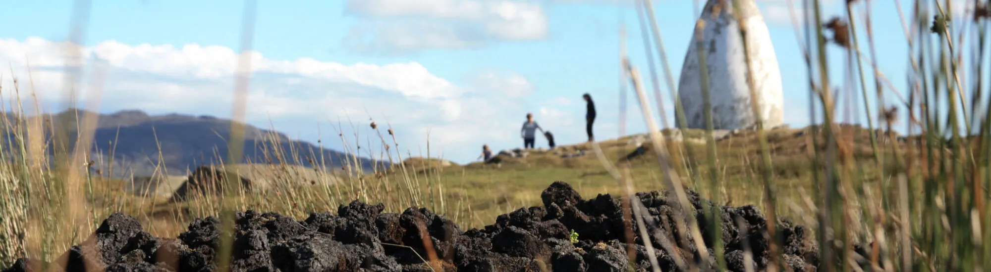 Derrygimlagh peat bog