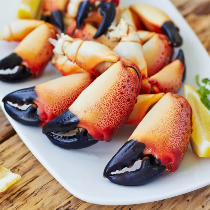 pinces de crabes 1