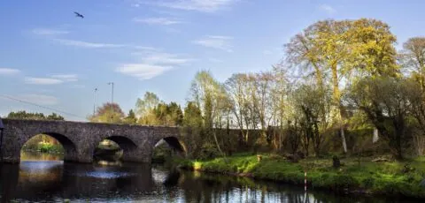 shaws bridge 1