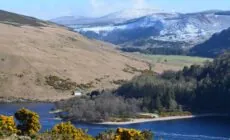 lough dan 1