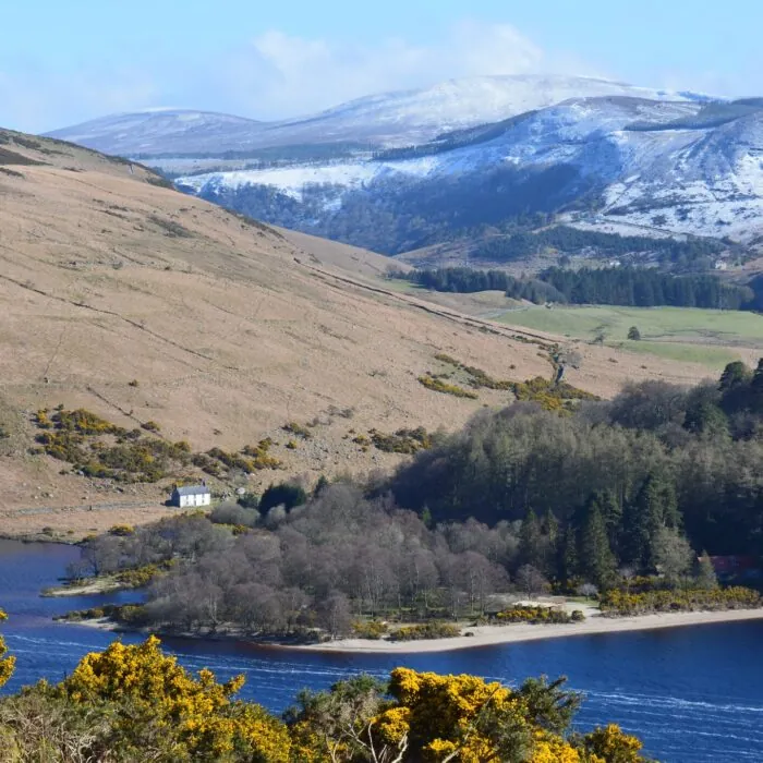 lough dan 1