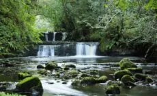 fowley falls 1