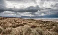 inch beach