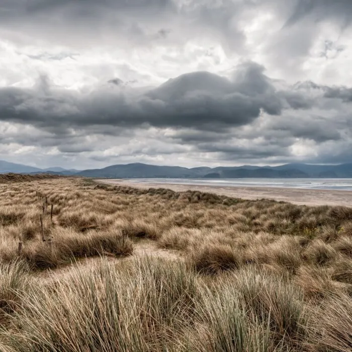inch beach
