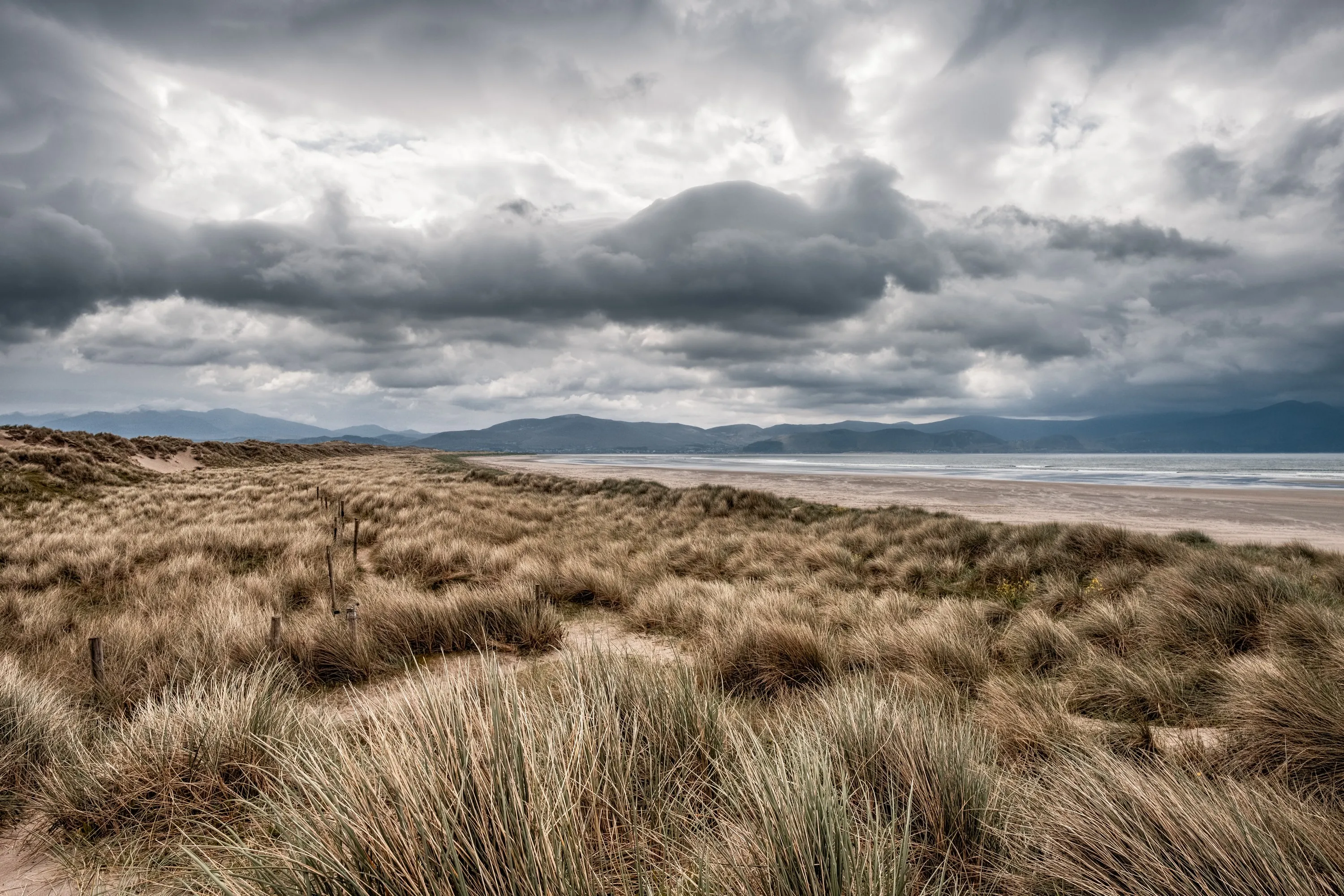 inch beach