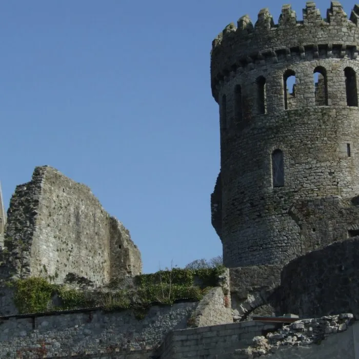 nenagh castle 1