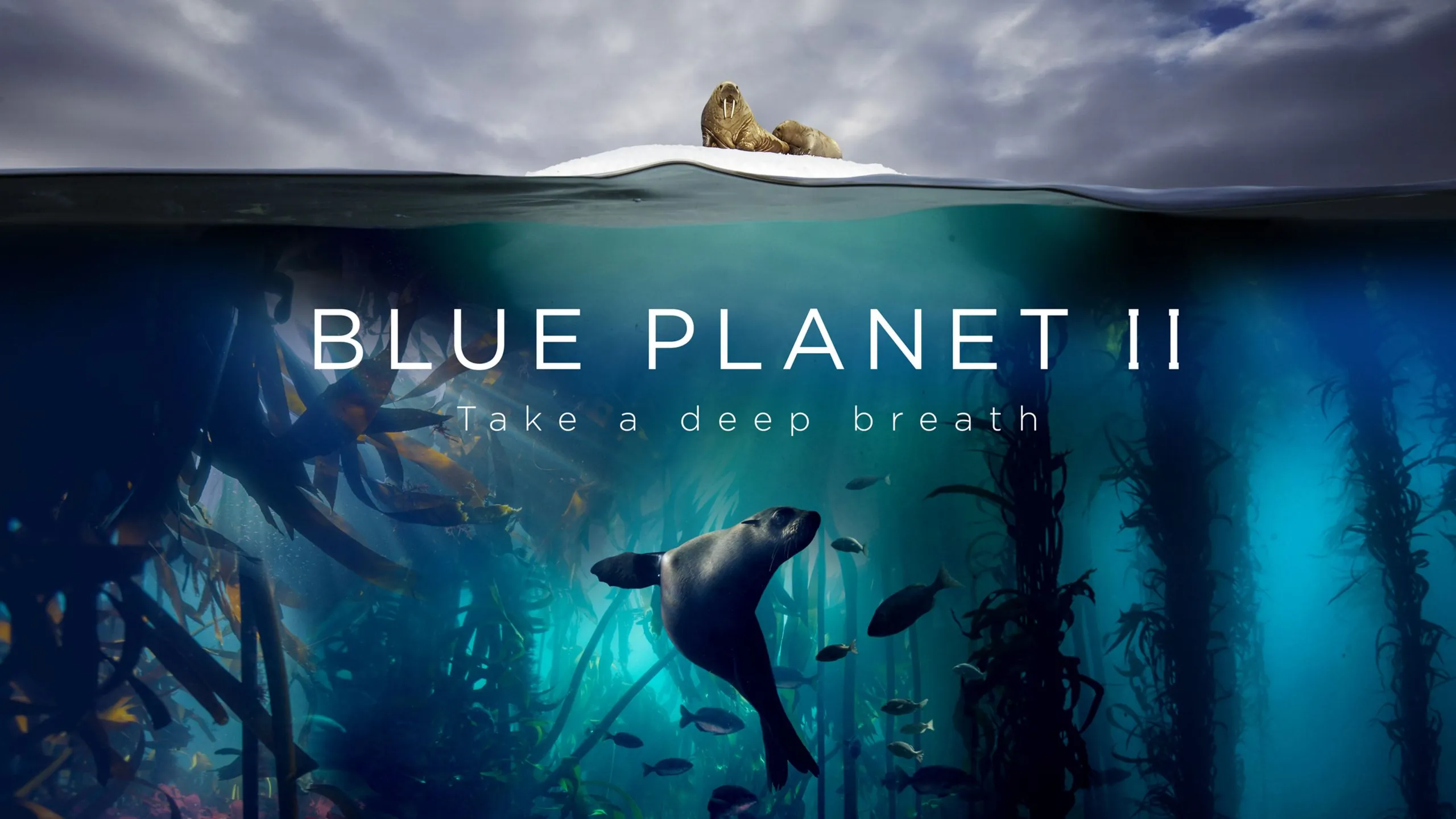 Blue Planet II de la BBC