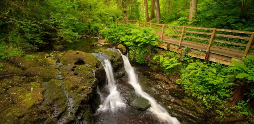glenariff forest park 3