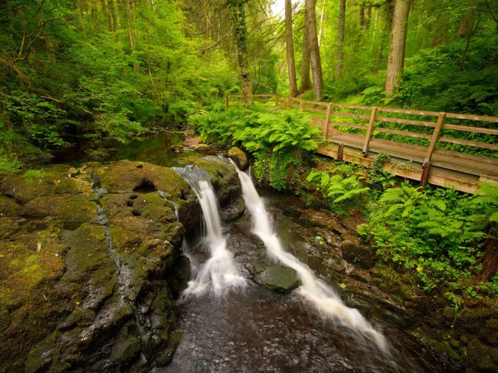 glenariff forest park 3