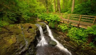 glenariff forest park 3