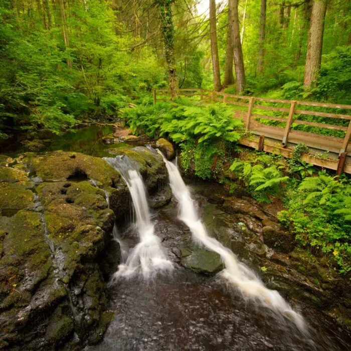 glenariff forest park 3