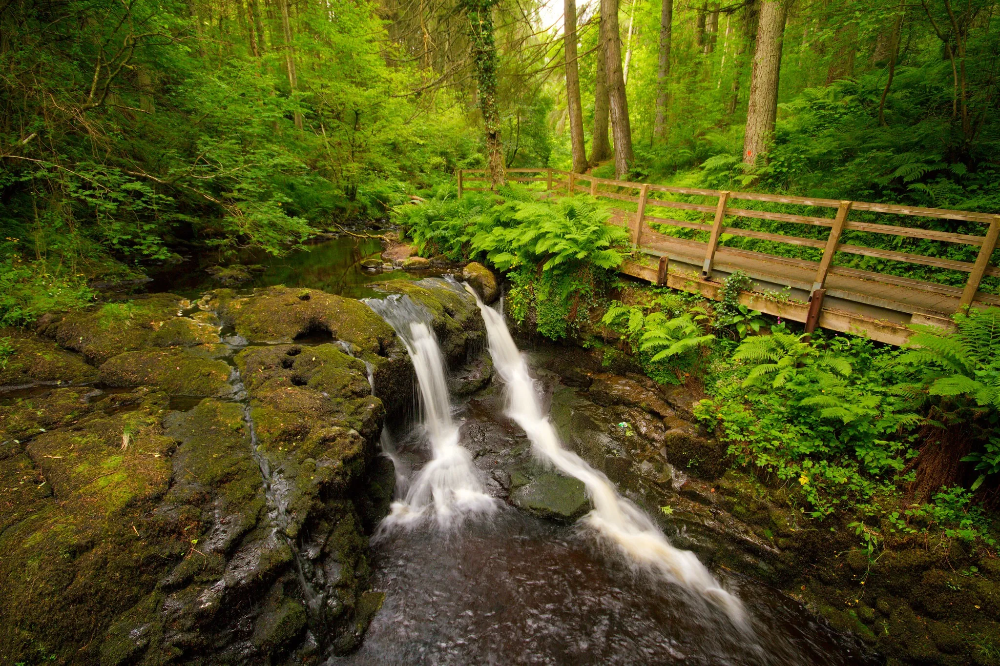 glenariff forest park 3