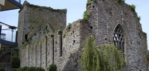 st dominicks abbey cashel scaled