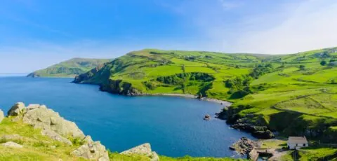 torr head 3