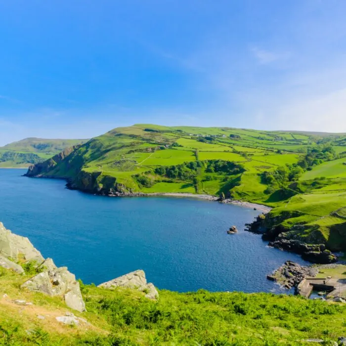 torr head 3