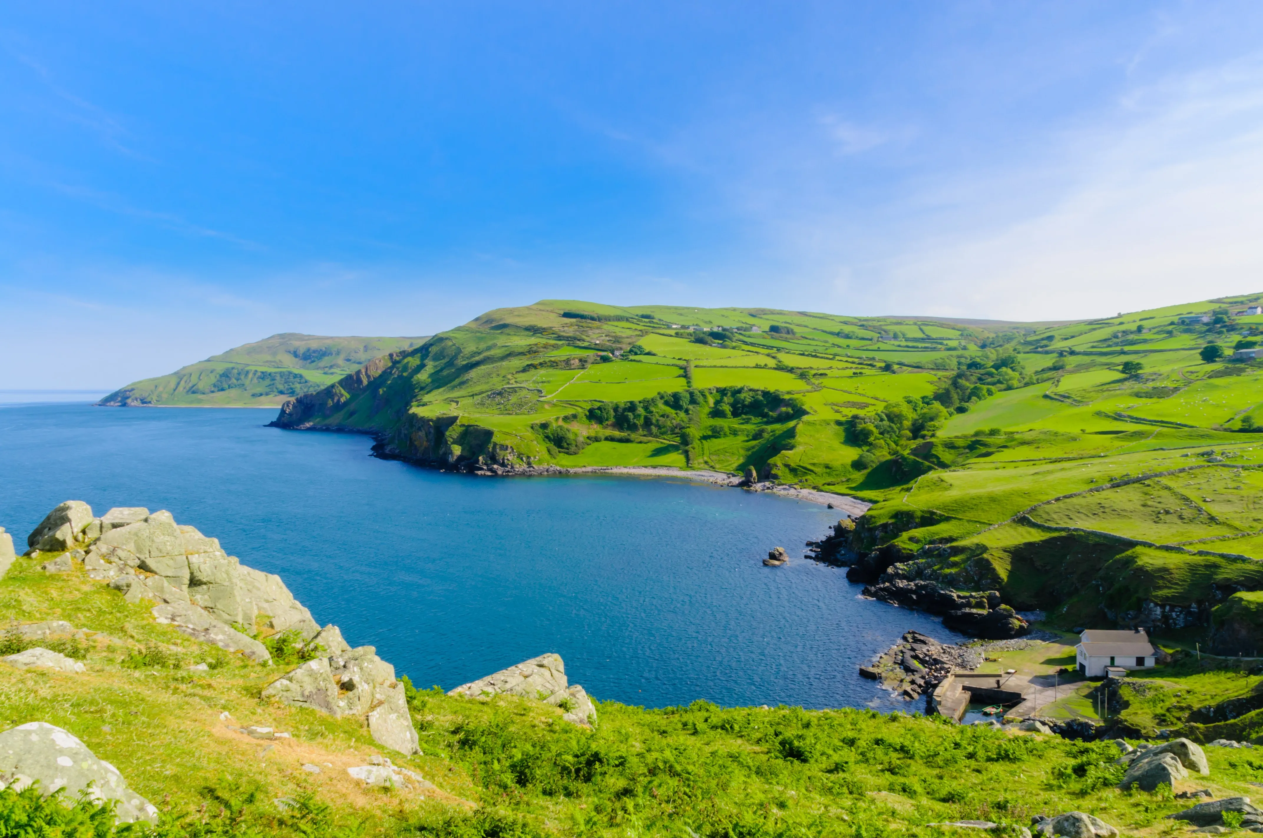torr head 3