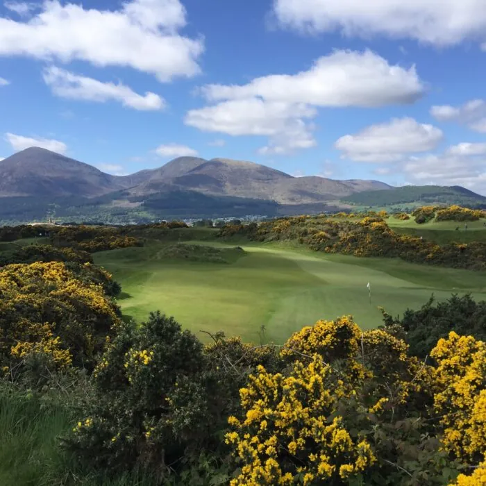 royal county down golf