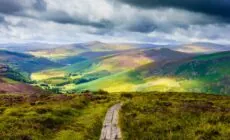 The Wicklow Way - © Monsieur Olivier
