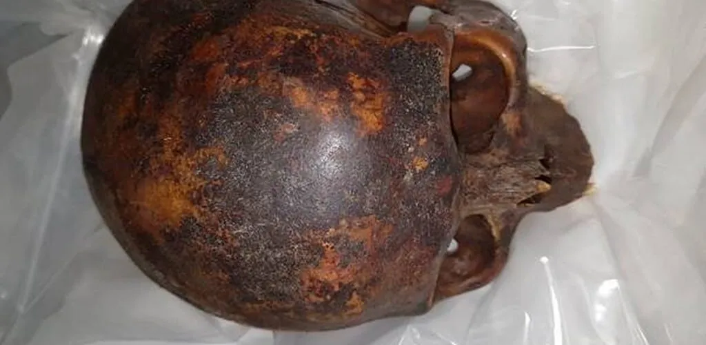 Dublin – The skulls of 2 stolen crusaders have just been found