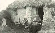 irish famine