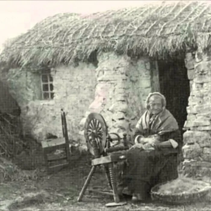 irish famine