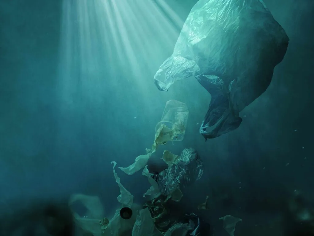 dechets plastique ocean scaled