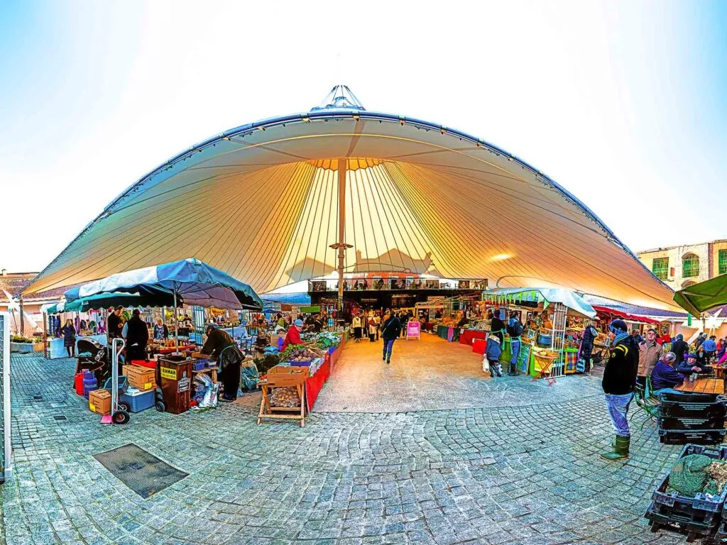 milk market
