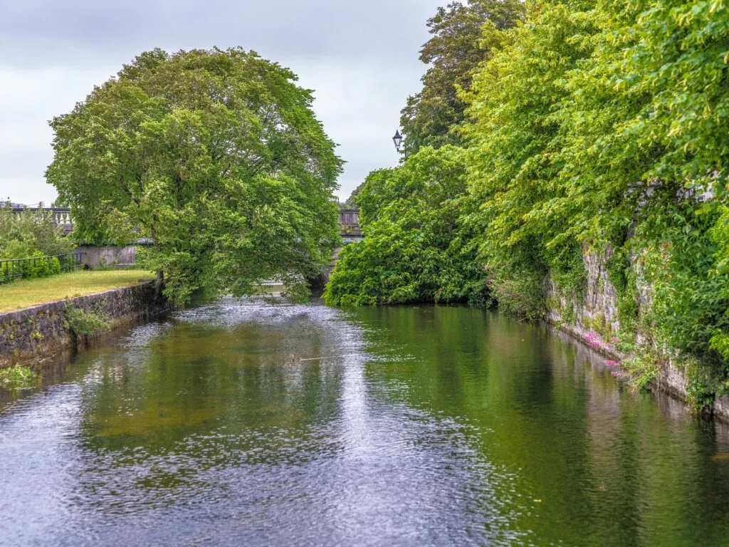 corrib walk