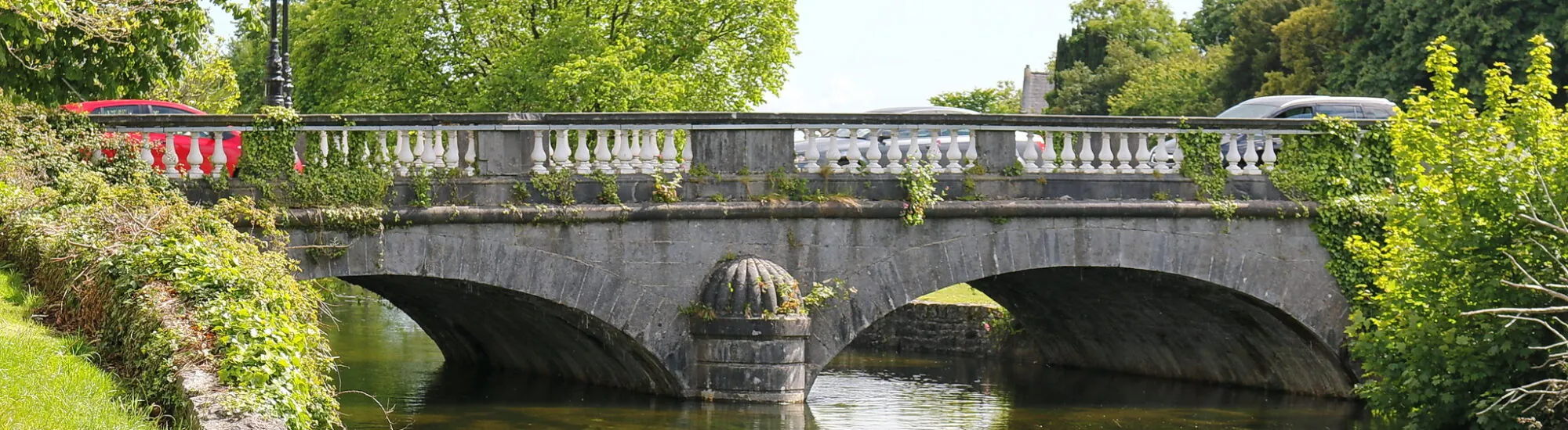 Salmon Weir Bridge