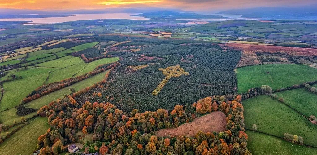 Ireland: a Celtic cross appears every autumn as it flies over a forest
