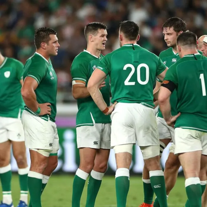 The Irish rugby team
