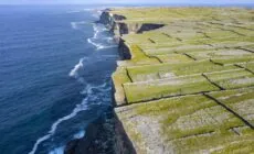 Inishmore Cliffs (Cliffs of Aran) - © Failte Ireland/Tourism Ireland