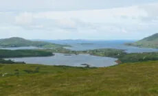 ballynakill lough
