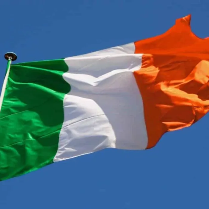 The Irish flag
