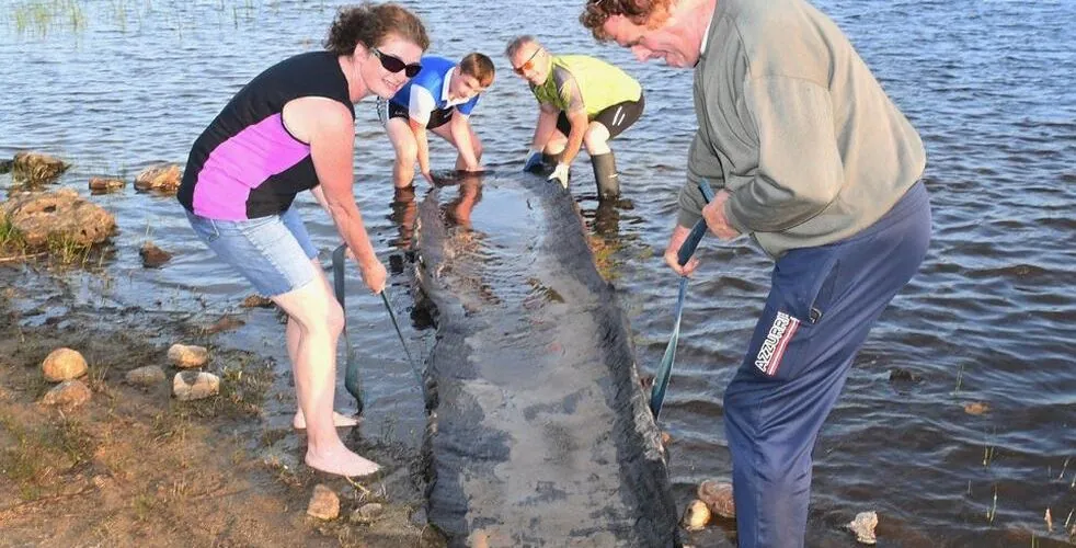 Ireland: an Irish schoolboy discovers a 4,000-year-old boat in County Roscommon