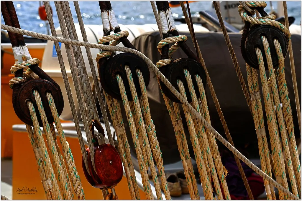 The Yawl Festival