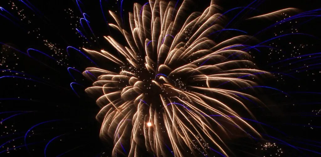 Dublin Cancels Its New Year’s Festival
